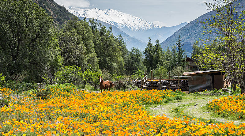 Cajon del Maipo Valley in Chile