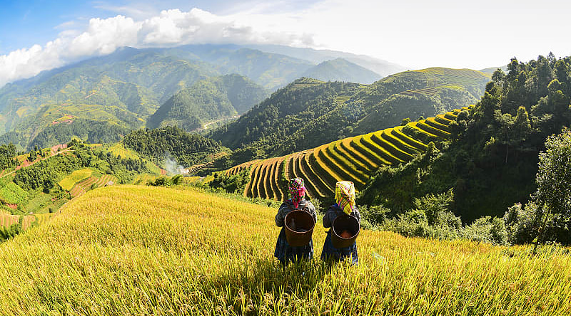 Hmong women on rice terraces in Sapa, Vietnam
