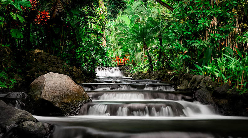 Natural thermal mineral springs at Tabacon Resort and Spa in Costa Rica