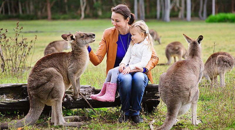Mother and daughter feeding kangaroos in Australia