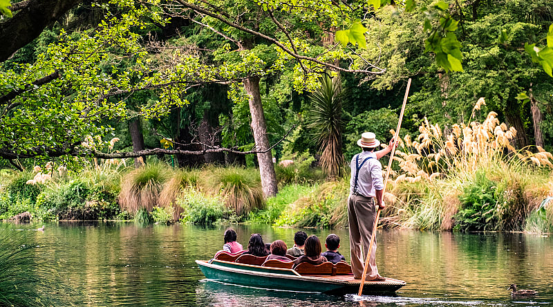 Explore the wildlife on a boat trip outside Christchurch in New Zealand