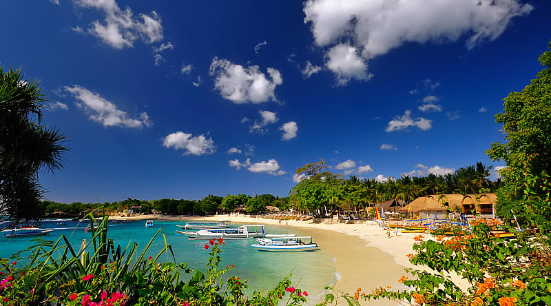 Beautiful golden sand beach with colorful flowers in Bali