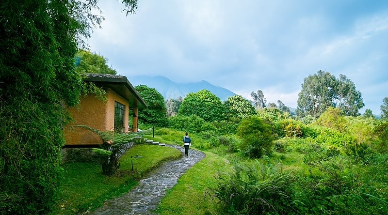 Volcanoes National Park in Rwanda