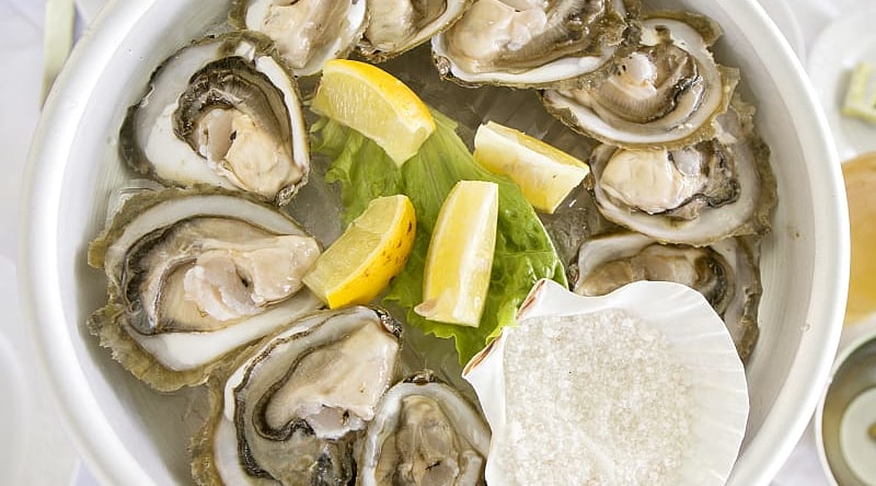 Gourmet oysters in Croatia