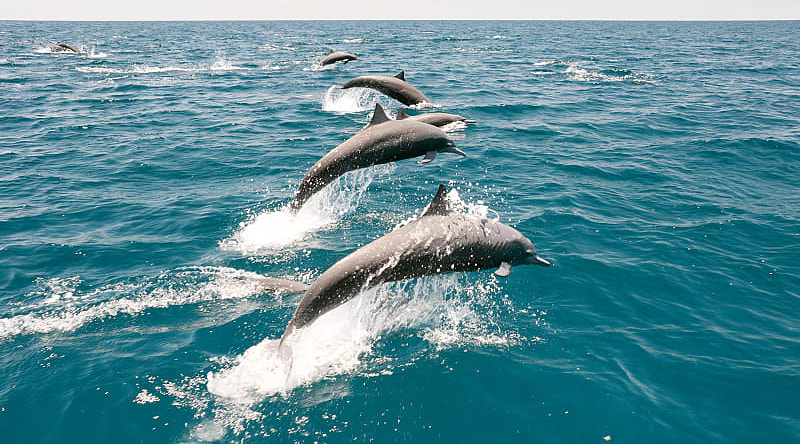 Costa Rica for Families Vacation