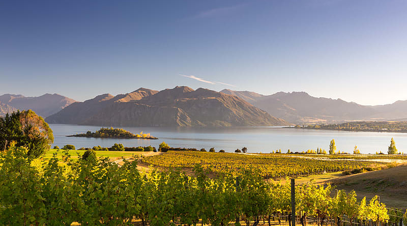 Savor great taste while wine tasting in Otago, Wanaka region.