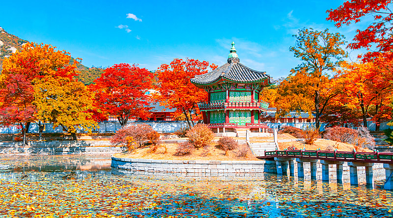 Autumn at Gyeongbokgung Palace in South Korea,