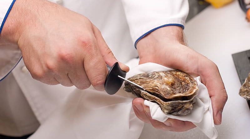 Chef shucking oysters in Australia