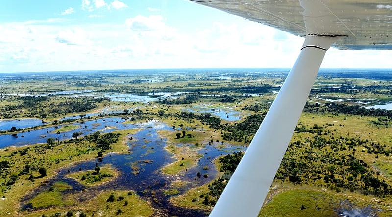 Aerial view of the Okavango Delta from plane