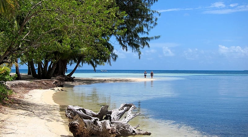 Beach on South Water Caye in Belize