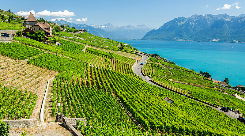 Geneva lake in famous Lavaux wine region, Switzerland