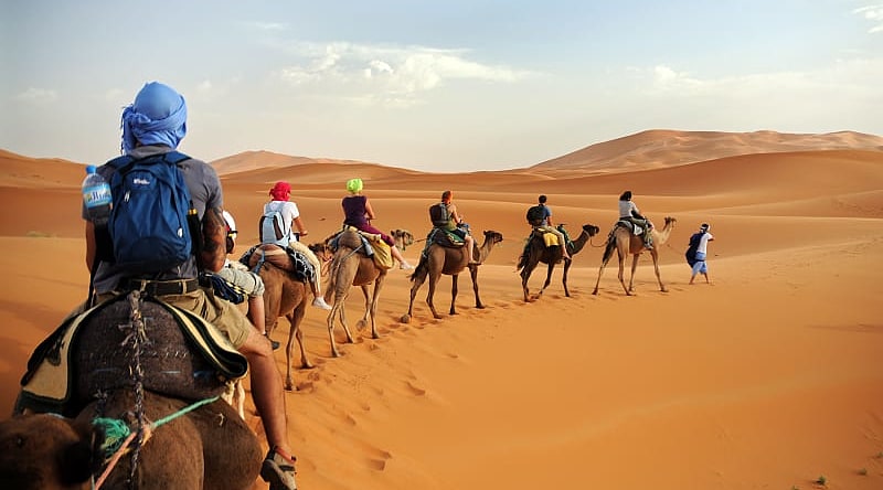 Camel caravan in the Sahara Desert, Morocco