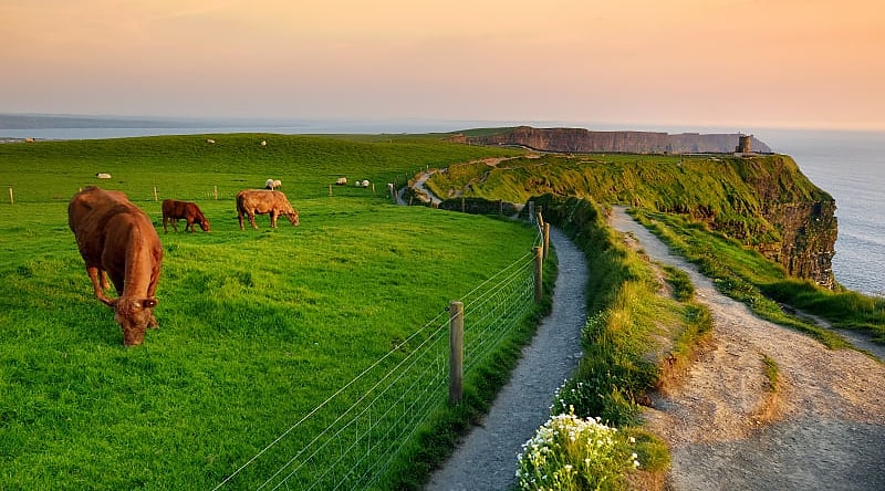 Cliffs of Moher in Ireland