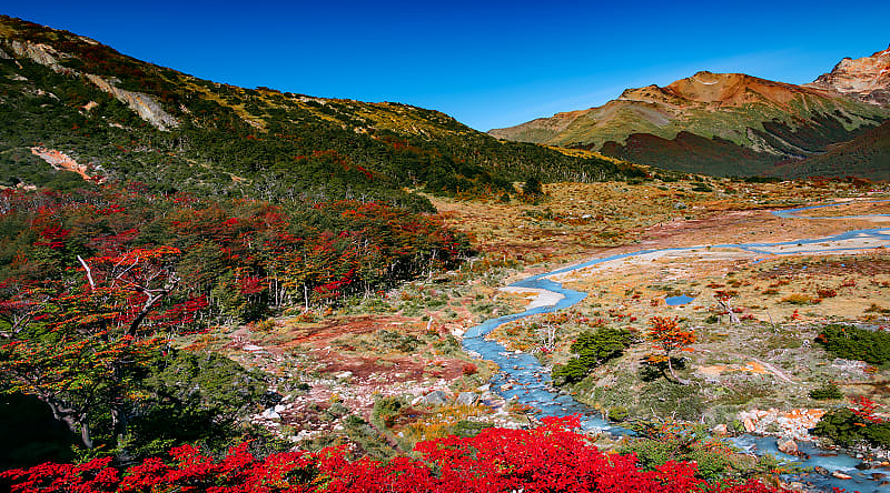 Tierra del Fuego, Patagonia, Argentina