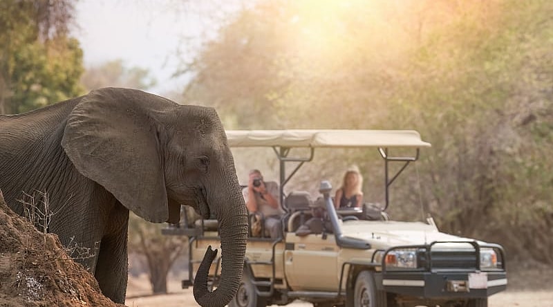 Safari at Mana Pools National Park in Zimbabwe