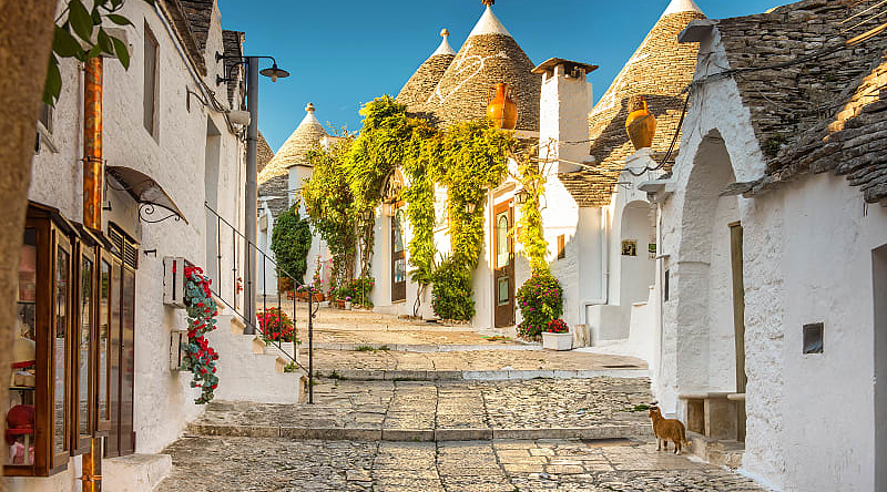 The cobblestone walkaway through the fairytale white limestone Trulli dwellings of  Alberobello, Italy