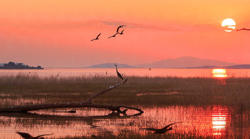 Matusadona National Park, Zimbabwe