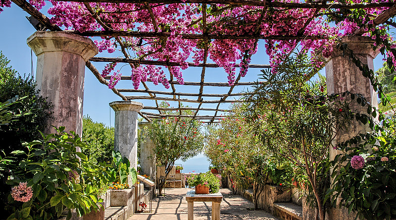 Flowers in bloom at Villa Rufolo in Ravello on the Amalfi Coast, Italy