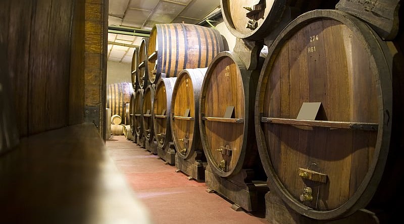Barrels in Mendoza wine cellar