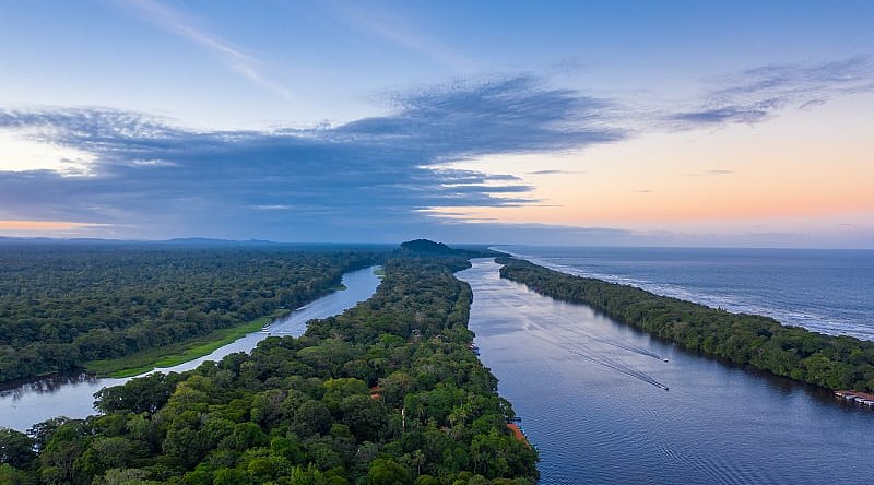 Stunning jungle along the Caribbean coast and the Tortuguero River. Tortuguero National Park, Costa Rica