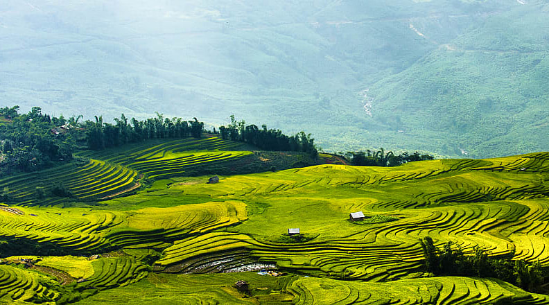 Rice fields terraces in Sapa, Vietnam.