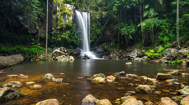 Curtis Falls, a waterfall in Tamborine National Park on Mount Tamborine in the Gold Coast, Australia