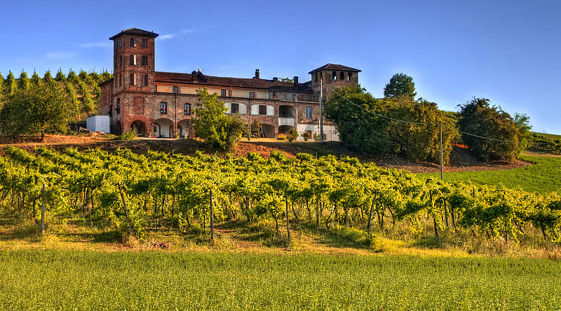 A villa and vineyard in Piedmont, Northern Italy