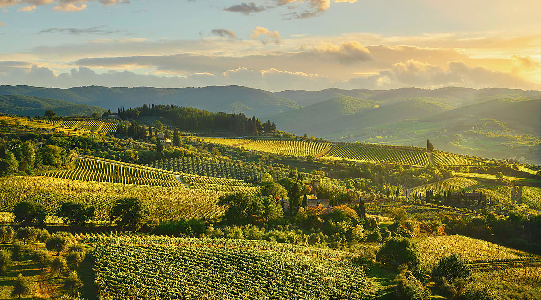 Vineyards around Panzano in Tuscany, Italy