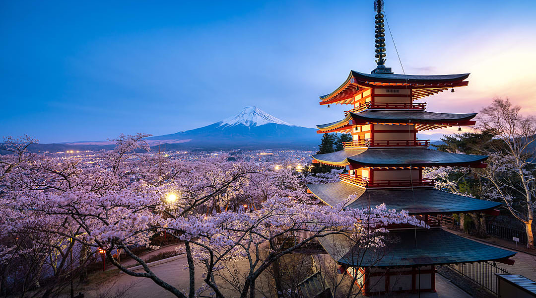 Chureito pagoda and Mt. Fuji in the spring with cherry blossoms during twilight in Japan