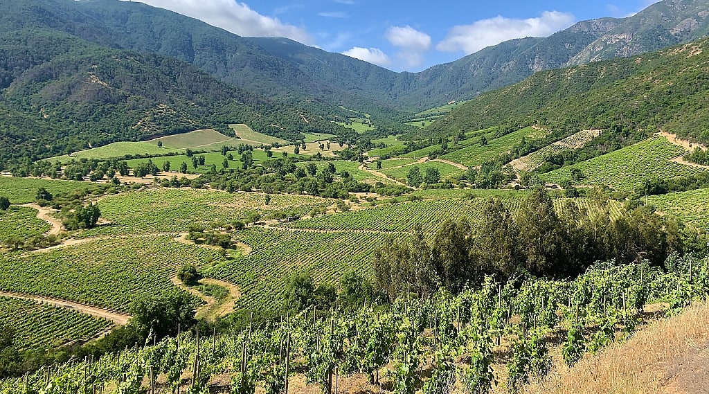 Vineyards surrounded by mountains in Colchagua Valley, Chile