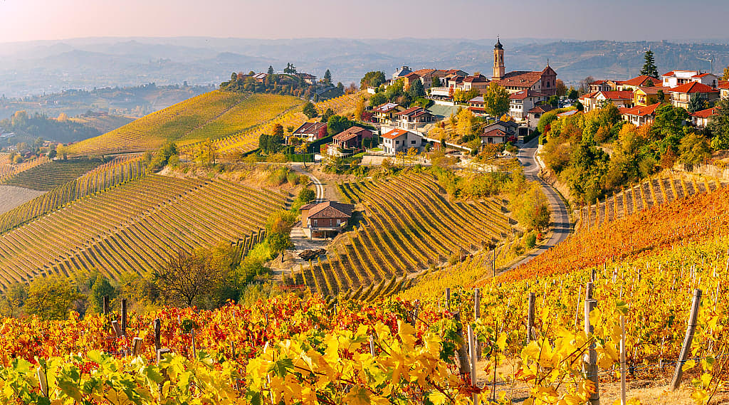 Autumn vineyards in the Piedmont region of Italy