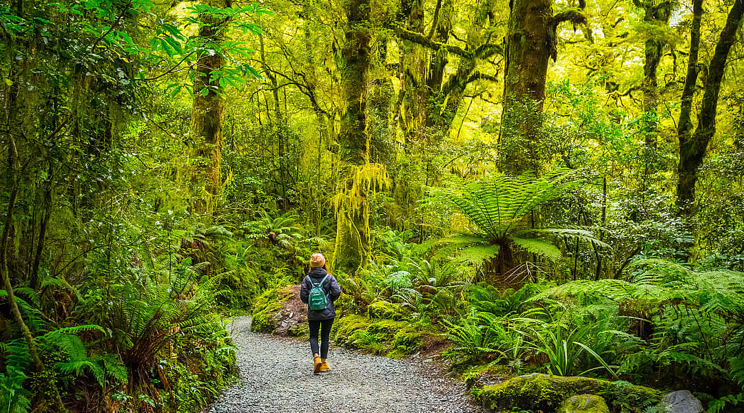 Hiking in Fiordland National Park, New Zealand