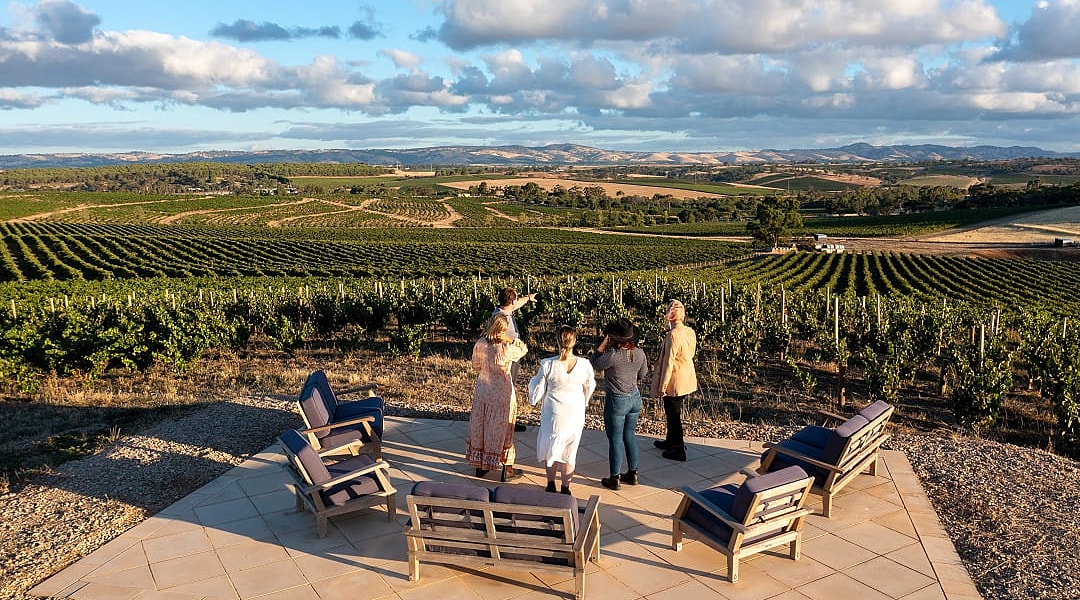 Group of travelers at a luxury vineyard in Barossa Valley, Australia