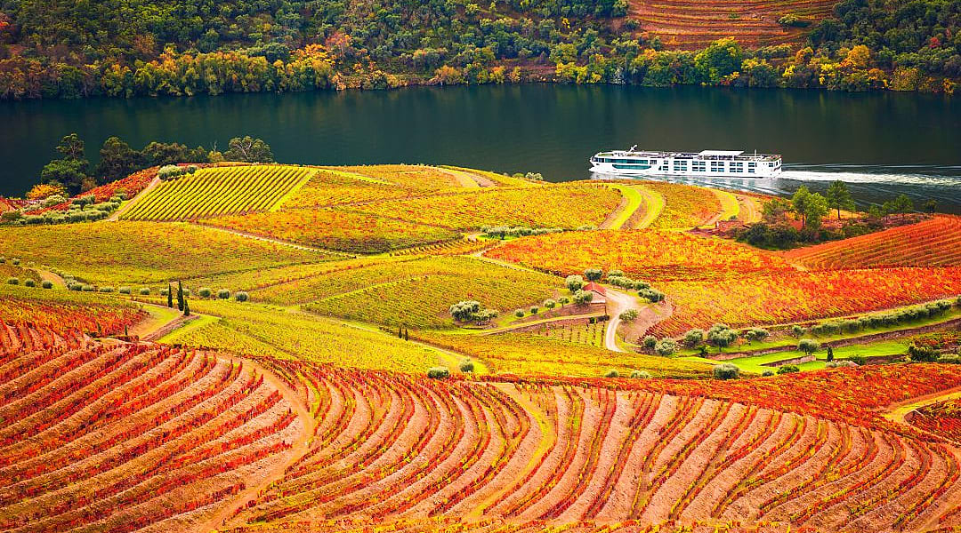 Autumn in Douro Valley, Portugal