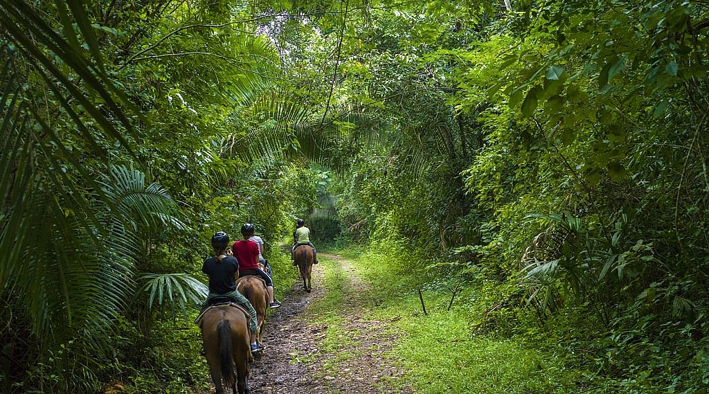 Horseback riding in Belize