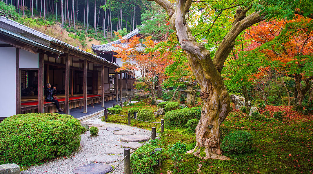 Woman at Enkoji Temple enjoying early autumn colors of the Japanese garden