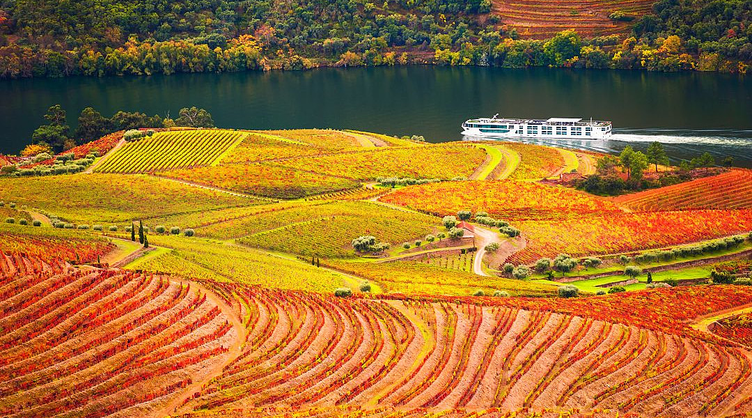 Autumn in Douro Valley, Portugal