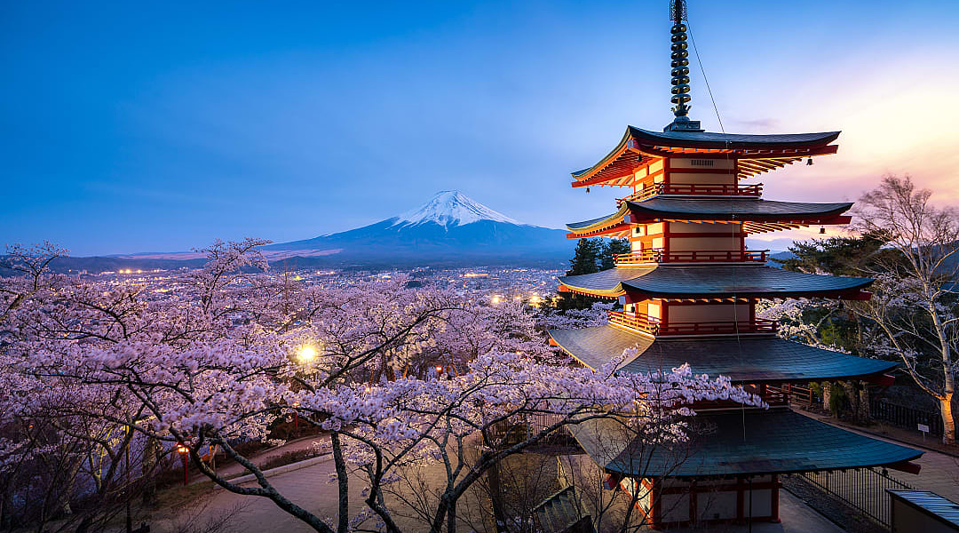 Chureito pagoda and Mt. Fuji in the spring with cherry blossoms during twilight in Japan