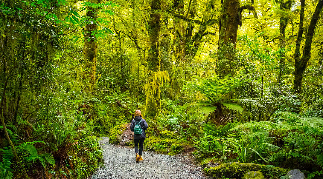Hiking in Fiordland National Park, New Zealand