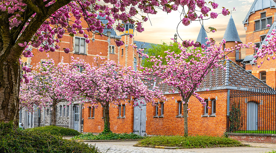 Belgium, in the splendor of spring.