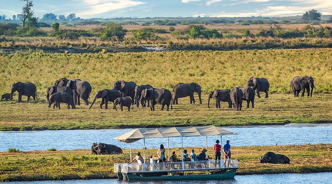 Safari tourist in a boat watching a heard of elephants in Chobe National Park, Botswana