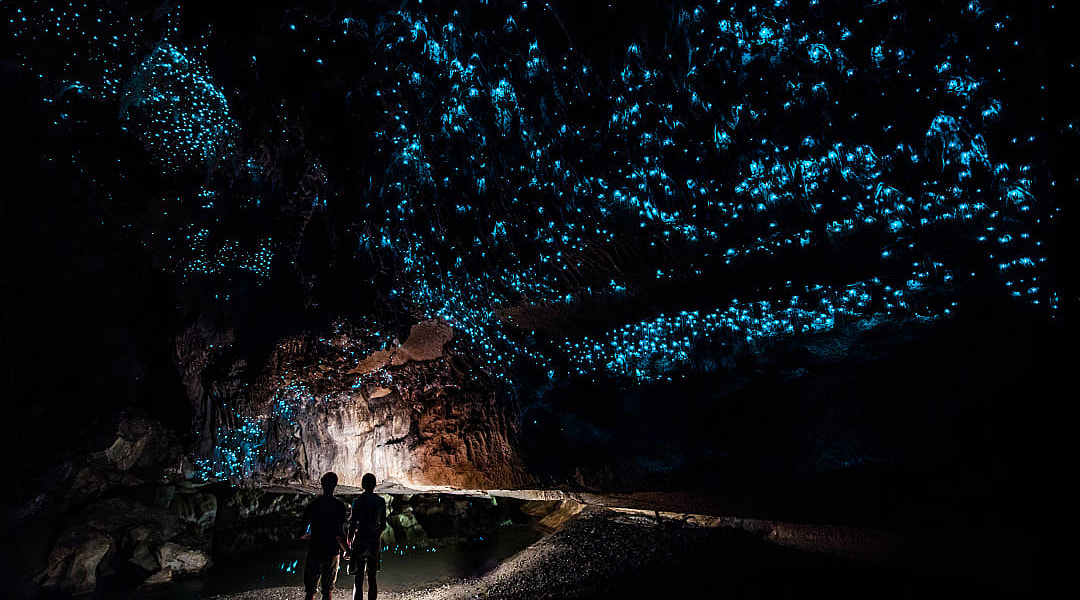 Couple inside the romantic glowworm cave in New Zealand