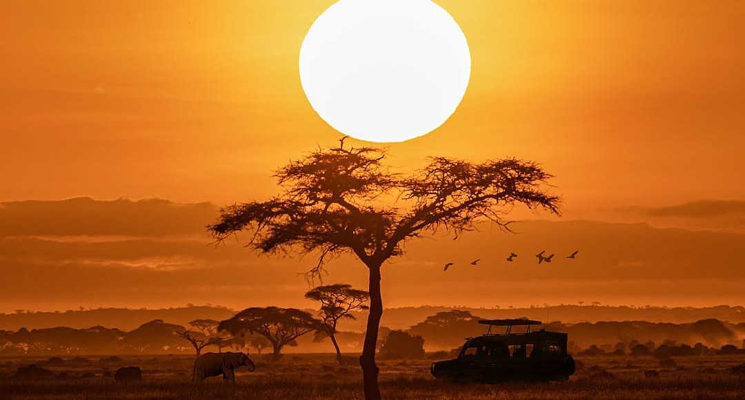 Orange sunset with silhouette of safari vehicle, trees and elephants
