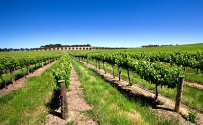 Best Australian Wine Tours 2020 2021 Zicasso