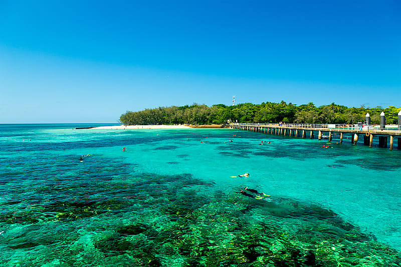 Snorkels exploring the reef around Green Island, Australia