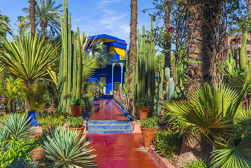 Le Jardin Majorelle, amazing tropical garden in Marrakech, Morocco.