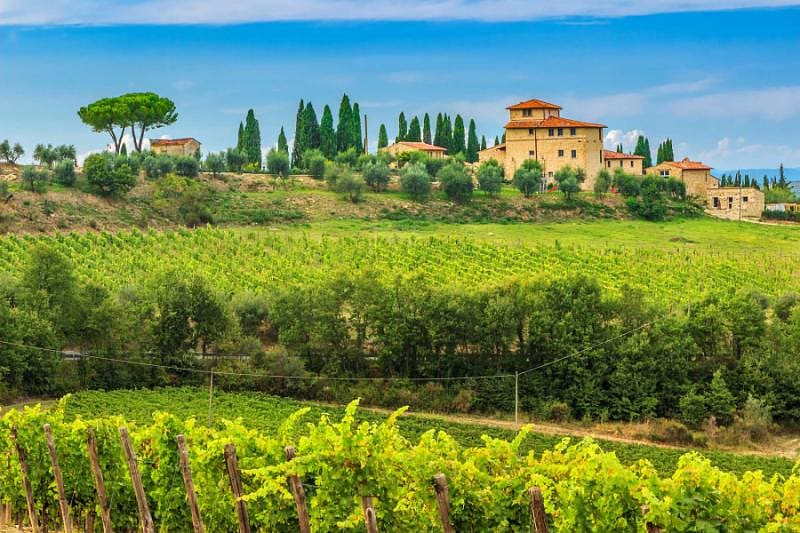 Typical Tuscan stone house with a stunning vineyard in the Chianti region, Tuscany, Italy