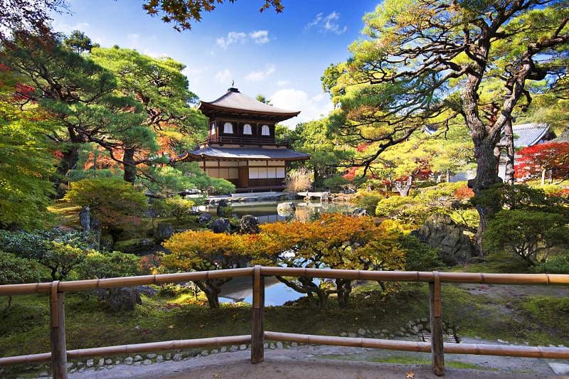 Spring garden charm in Kyoto, Japan