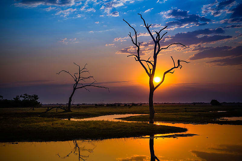 Sun setting on Botswana.