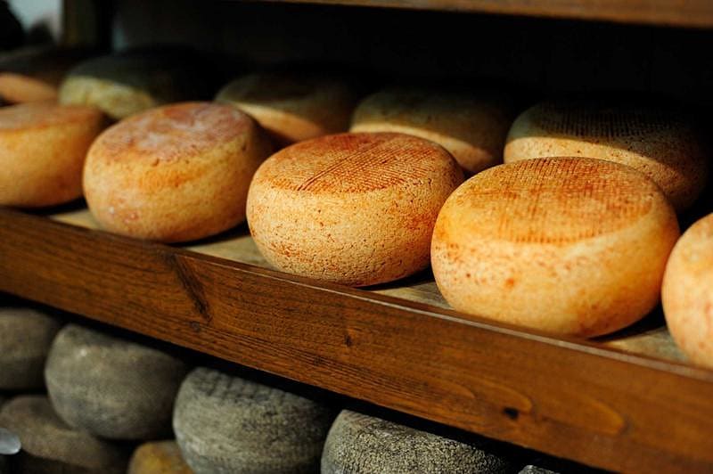 cheese wheels parmesan, cheese dairies Tuscany, Italy